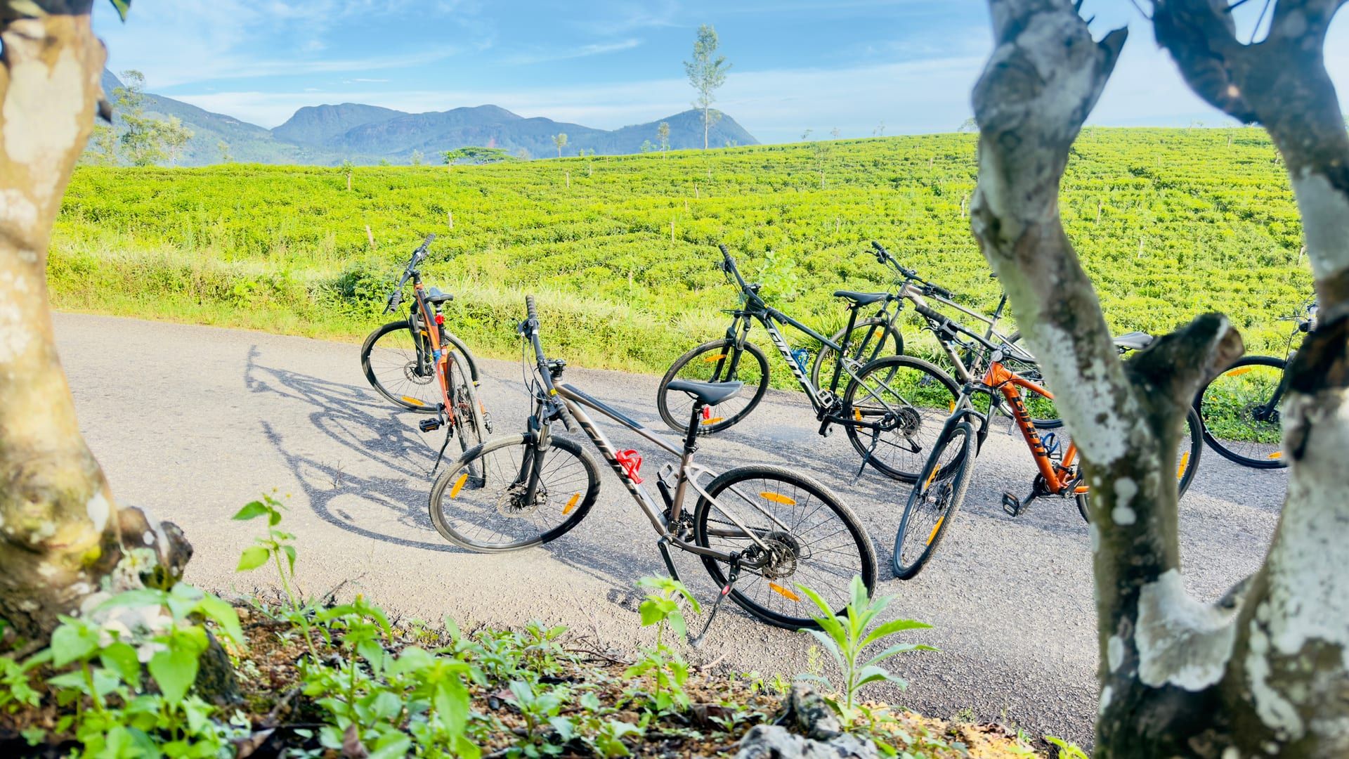 Sri Lanka Highlights Cycling Adventure