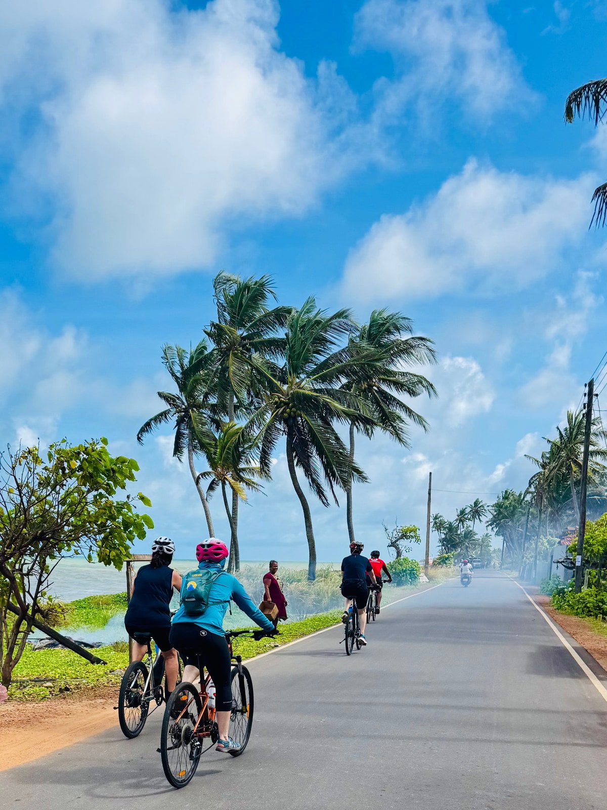Cycling Tours