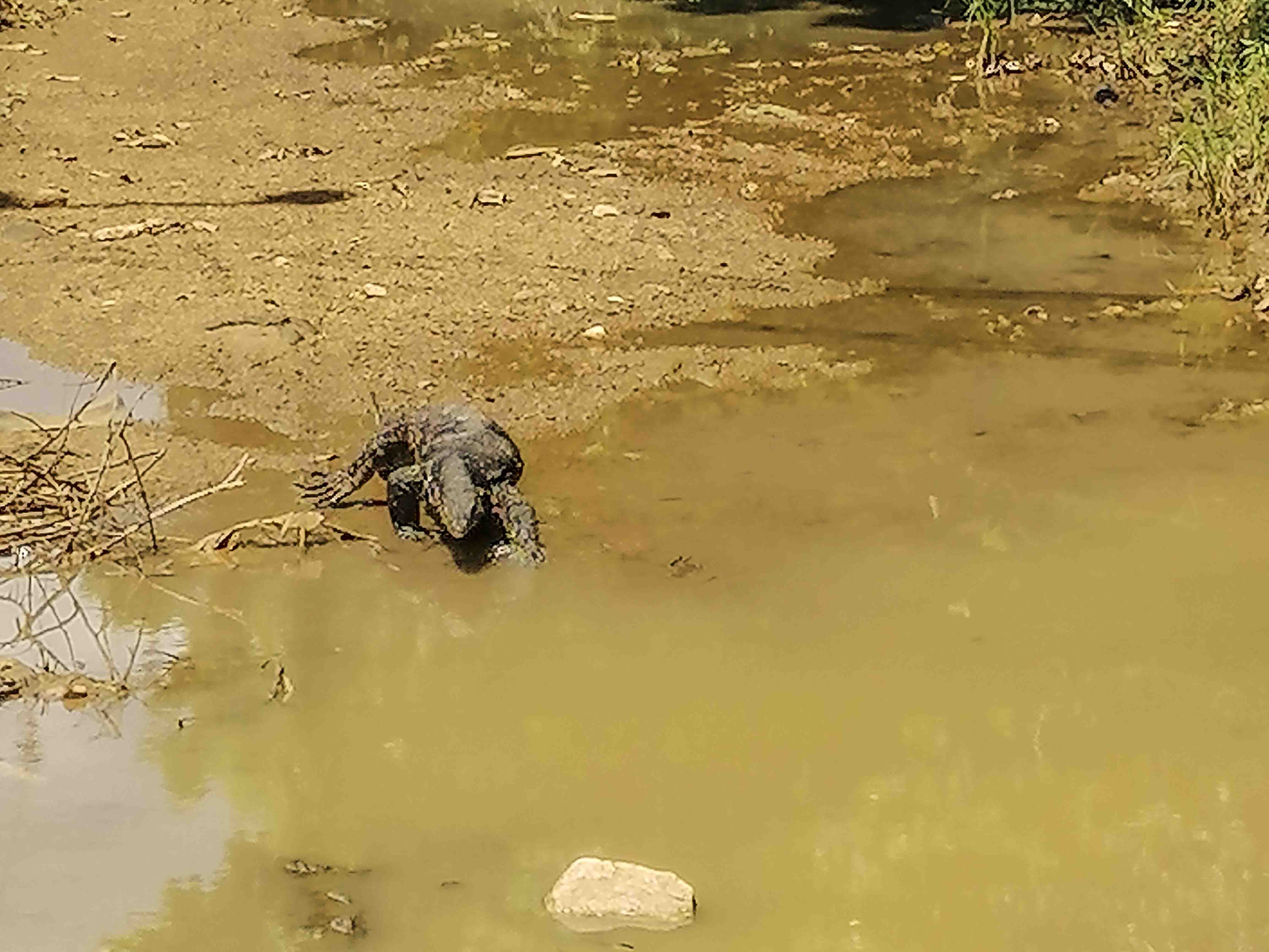 Sigiriya Local Village Cycling Tour